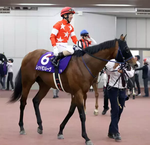 【高松宮記念】１５番人気のレッドモンレーヴが激走２着　酒井学騎手「いつもの末脚を見せてくれました」