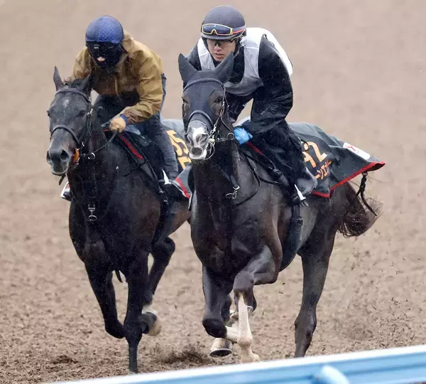 「【皐月賞・２週前】上原佑厩舎のグリーンエナジー、フォルテアンジェロが併せ馬　「このままいってほしい」」の画像