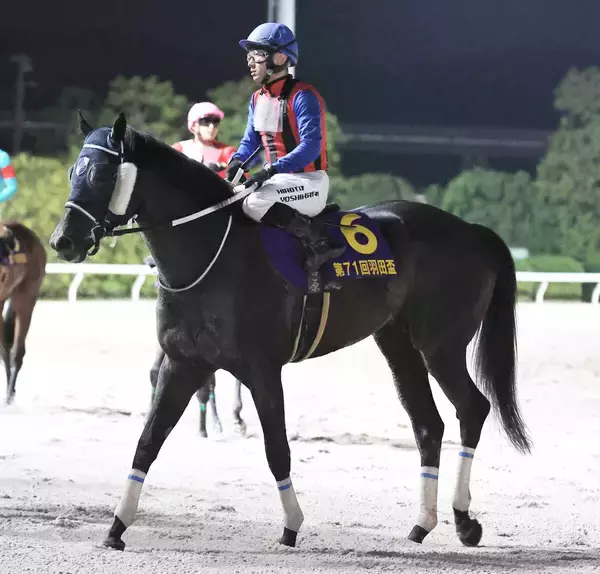 「熱い」走りにネット騒然　上がり最速の末脚で猛然と追い込んだ羽田盃３着のロウリュ　「将来的にＪｐｎ１勝てる」