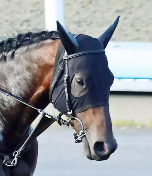 【日本ダービー】４番人気パントルナイーフは頭差２着に惜敗　「これからＧ１ホースになれる馬」ルメール騎手の信頼は変わらず
