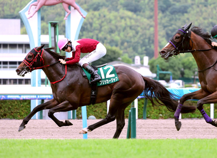 【北九州記念】フリッカージャブが重賞初制覇　西園翔太調教師「規格外」スプリンターズＳで短距離王狙う