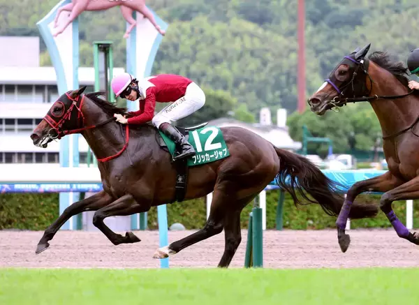 【北九州記念】フリッカージャブが重賞初制覇　西園翔太調教師「規格外」スプリンターズＳで短距離王狙う