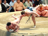 「安青錦、２敗単独トップ守って３度目Ｖに王手…左足の痛みを抱えながら尊富士退ける　「男から見てもかっこいい」C・ロナウドに学ぶストイックさ」の画像1