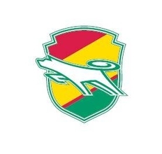 Ｊ１千葉がブラジル人ボランチ、マテウス・インディオを獲得「ピッチ上で魂を燃やし尽くします」