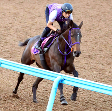 【ＣＢＣ賞】３歳牝馬のサンアントワーヌが余裕たっぷりの動き　鹿戸調教師は合格点「しまいまでしっかり走れていた」