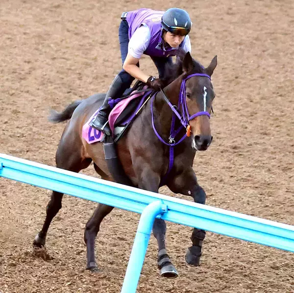 【ＣＢＣ賞】３歳牝馬のサンアントワーヌが余裕たっぷりの動き　鹿戸調教師は合格点「しまいまでしっかり走れていた」