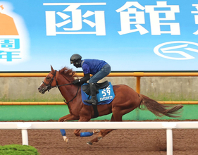【札幌記念・１週前】ゼンダンハヤブサは異例の転戦にも活気あり　陣営「栗東にいるより、カイバ食いはいいぐらい」