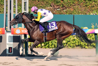 【ＷＡＳＪ】第３戦は岩田望来騎手の伏兵マーシヴィガラスがＶ　武豊騎手が首位５１ポイントで第４戦へ