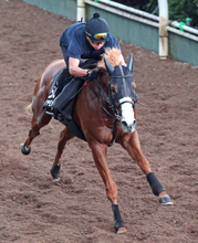 【セントウルＳ】ダイヤモンドノットはまっすぐ登坂　未勝利以来のスプリント戦も陣営「やるごとにパンプアップして…」