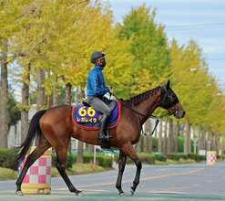 「あつすぎる…」「人気上がってて滅…」天皇賞・秋の前売り３番人気馬に反応さまざま　Ｇ１・３勝馬レガレイラ