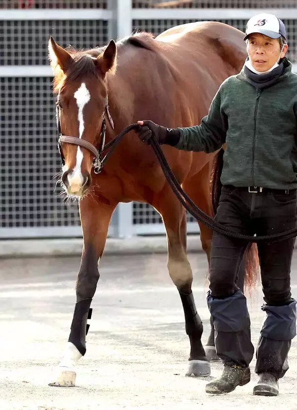 【ＰＯＧ】天国の母ジェンティルに届け　娘のアルジェンテーラがデビューＶへ視界良好　斉藤崇調教師「手脚が軽い」