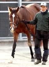 【ＰＯＧ】天国の母ジェンティルに届け　娘のアルジェンテーラがデビューＶへ視界良好　斉藤崇調教師「手脚が軽い」