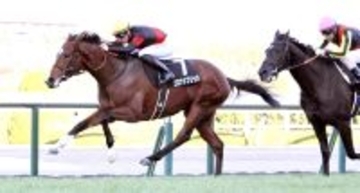 単勝１・７倍でまたも発馬失敗　良血馬ベレシートの惜敗にＳＮＳ落胆「出遅れ方がエグい」「いつか怪物に」