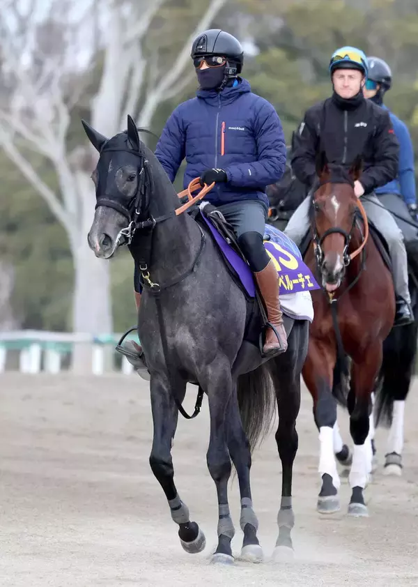 【朝日杯ＦＳ】母がＧ１馬の良血スペルーチェ　宮田調教師「楽しみをもって挑戦」