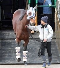 【有馬記念】メイショウタバルがグランプリホース襲名へ　陣営「どんな競馬をするかは、タバルしか分かっていない」