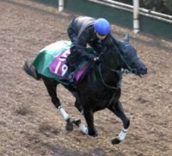 【クイーンＣ】全兄は重賞２勝　ニシノサリーナが坂路でスピード感抜群　池添謙一騎手「いい状態で臨めるかな」