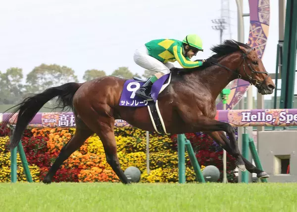 【高松宮記念】サトノレーヴがレースレコードで史上２頭目の連覇　ルメール騎手「心配していなかった」Ｇ１完全制覇へＭ２