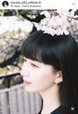 「Ｃｏｃｏｍｉ、満開の桜にうっとり…春らしいショットに多数の「いいね！」妹・Ｋｏｋｉ，が撮影」の画像1