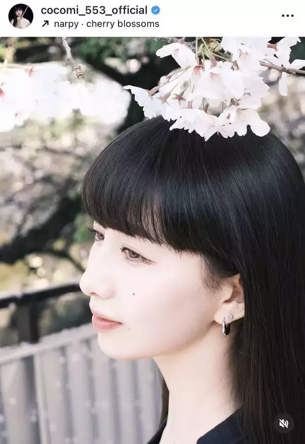 Ｃｏｃｏｍｉ、満開の桜にうっとり…春らしいショットに多数の「いいね！」妹・Ｋｏｋｉ，が撮影
