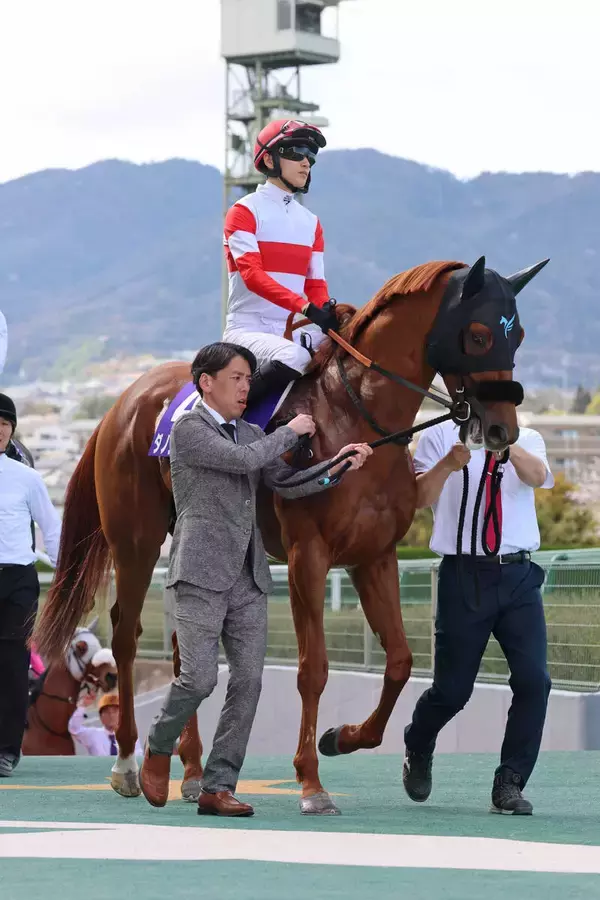 【大阪杯】２番人気ダノンデサイルは３着　初コンビの坂井瑠星騎手「ベストの条件ではなかったかな」