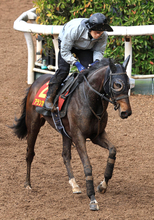 【Ｇ１・１週前まとめ】アランカール反撃へ機敏な脚さばき　コンビ継続の武豊「動き自体良かった」　桜花賞