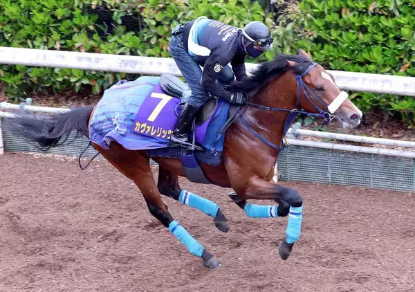 【皐月賞】２歳マイル王カヴァレリッツォＧ１連勝へ「仕上がった」