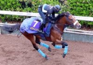 【皐月賞】２歳マイル王カヴァレリッツォＧ１連勝へ「仕上がった」