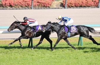 【皐月賞】ルメール騎手「馬場はパーフェクト」と絶賛　中山・芝内回りはＣコース替わりで速い時計の決着が濃厚　