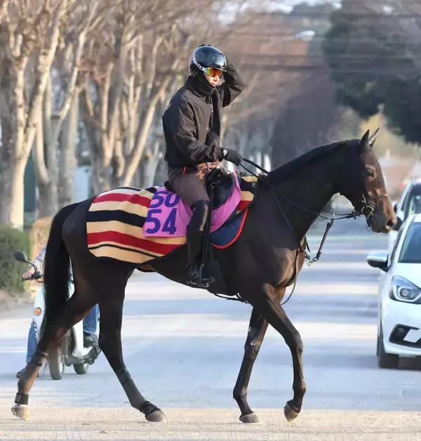 【注目馬動向】イクイノックス全妹イクシードはカーネーションＣへ　フラワーＣ３着以来の実戦
