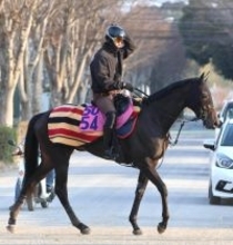 【注目馬動向】イクイノックス全妹イクシードはカーネーションＣへ　フラワーＣ３着以来の実戦