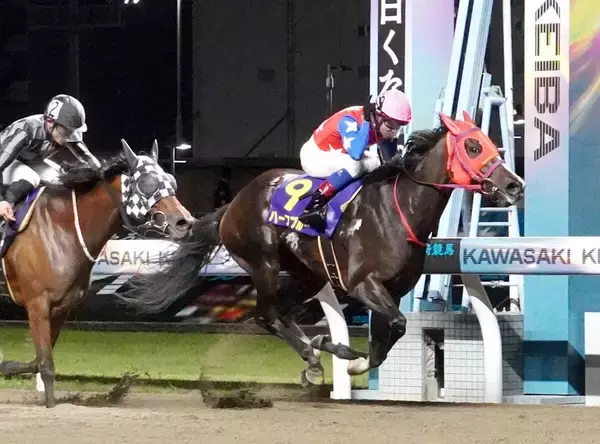 【川崎競馬】単勝１・６倍のハーフブルーが川崎ＳＳ逃げ切りＶ　御神本騎手「短いところなら活躍してくれる」