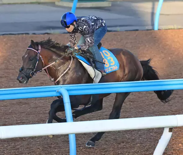 【関屋記念】新潟重賞は好相性のシリウスコルト　田中勝調教師「スムーズに流れに乗れれば」