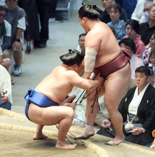 東前頭筆頭・藤ノ川が７勝７敗　勝ち越せば新三役近づくだけに「次の番付を意識したい」