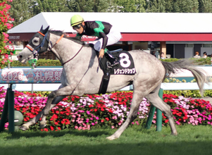 ３年勝ち星なしから６歳夏に大変身の２連勝！「覚醒しとるやん」「本当に感動」激変したレジェンドシップにネット仰天