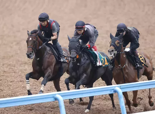 【セントライト記念】武豊騎手とコンビのゴーイントゥスカイが余力十分に併入　上原佑師「リラックスして良かったと思います」