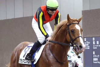 【注目馬動向】超良血馬が地方移籍より障害転向を視野　９戦未勝利に終わったグランアレグリアの初子グランマエストロ