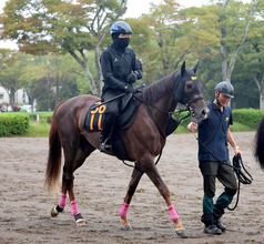 【サウジアラビアＲＣ】奥がありそうなベルウッドディープに注目　室井調教師「追い出してからの瞬発力がある」