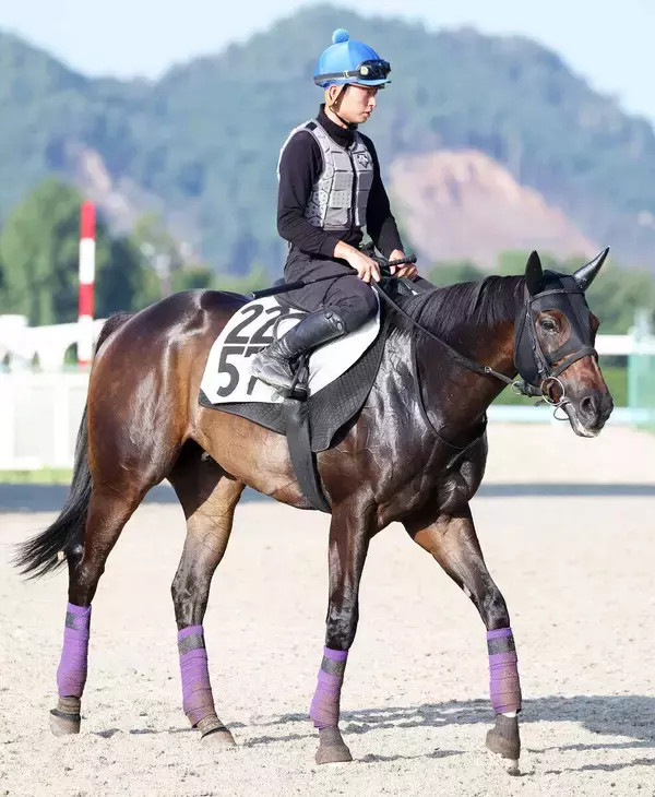 【注目馬動向】母はアパパネ...良血馬ラインベックが９歳で現役引退　ディープインパクト産駒はＪＲＡで残り１８頭