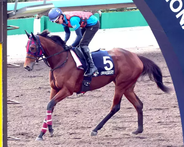【香港マイル】エンブロイダリーが万全の海外初出走へ　森一調教師「力を出せる状態です」