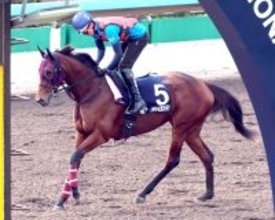 【香港マイル】エンブロイダリーが万全の海外初出走へ　森一調教師「力を出せる状態です」