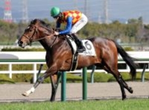 【阪神ＪＦ】阪神芝外回りは前日から内外の有利なし　強烈な末脚を持つアランカールが優勢か