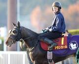 「牝馬クラシック有力候補の乗り替わり発表に「嘘だろ！？」「オークス爆発まで…」　アランカールは武豊騎手に」の画像1