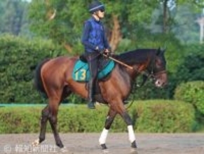 「すでに１２００万稼ぐ」「これはこれで才能」５戦連続で″銀メダル”の３歳馬にネット騒然　イナズマダイモン奮走も