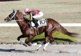 【雲取賞】本紙記者は目下２連勝と絶好調のＪＲＡ勢推し　馬格あるトリグラフヒルは大井の重い砂も攻略可能