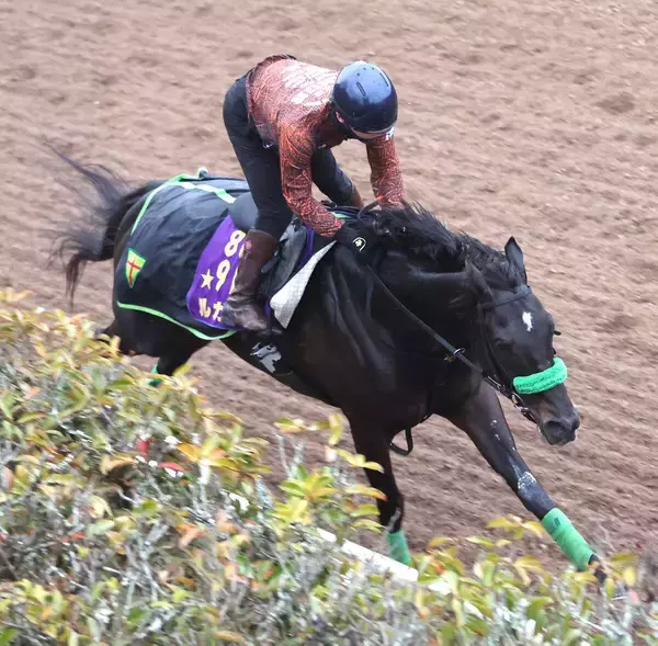 【注目馬動向】ルガルは中東情勢考慮して高松宮記念にも登録　杉山晴調教師「使えるかどうか保証がないので…」