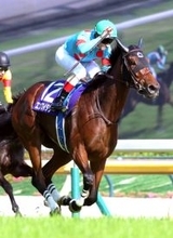 【ヴィクトリアＭ】牝馬２冠馬エンブロイダリー完勝　「１番人気の馬で１００勝できて良かった」ルメール騎手が歓喜の節目Ｖ