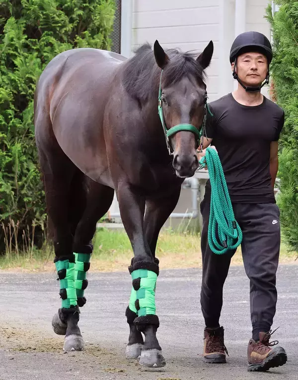 【日本ダービー・金曜気配】２冠狙うロブチェンは坂路で活気十分　杉山晴調教師「ベースが上がってきているのかも」