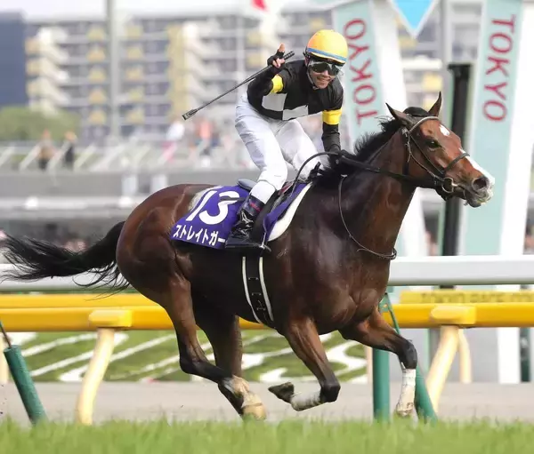 「孫がやったぞ」「初めて聞いた」産駒デビュー１年後にようやく初勝利のアスクピーターパン産駒とは？