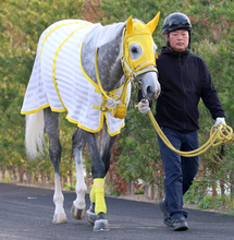 【七夕賞】好気配のマイネルモーントはスタートが勝利へのカギ　高木調教師「中団か前くらいで」