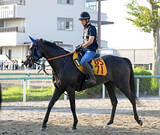 「【京成杯ＡＨ・三戸の特注馬】ヴァルキリーバースは前走大敗からの巻き返しへ　好走舞台で重賞初タイトルを狙う」の画像1